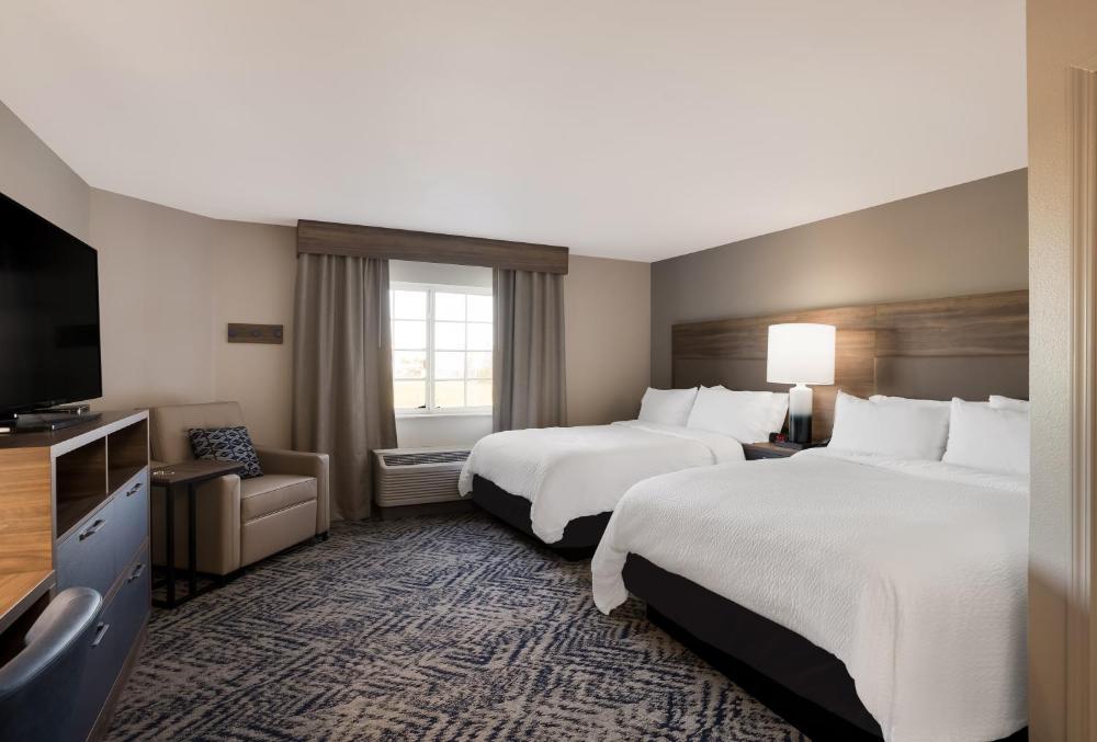 Studio Suite with Two Double Beds interior